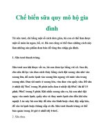 Chế biến sữa quy mô hộ gia đình docx