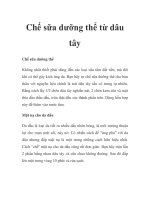 Chế sữa dưỡng thể từ dâu tây pps