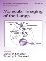 MOLECULAR IMAGING OF THE LUNGS docx