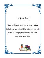 LUẬN VĂN: Hoàn thiện quá trình lập kế hoạch kiểm toán trong quy trình kiểm toán Báo cáo tài chính do Công ty Hợp danh Kiểm toán Việt Nam thực hiện doc