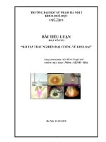 tiểu luận  '''' bài trắc nghiệm cùng với kim loại''''