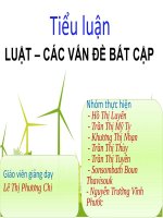 luat moi truong ppt