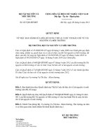 Quyết định số 827/QĐ-BTNMT pot