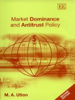 MARKET DOMINANCE AND ANTITRUST POLICY, SECOND EDITION ppt
