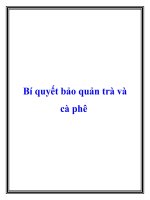 Bí quyết bảo quản trà và cà phê pot