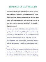 BỆNH SÁN LÁ GAN TRÂU, BÒ ppt