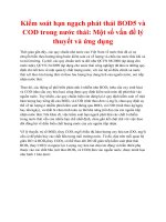 Kiểm soát hạn ngạch phát thải BOD5 và COD trong nước thải: Một số vấn đề lý thuyết và ứng dụng pps