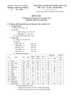 Bao cao thanh tra THCS mau 1