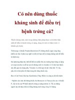 Có nên dùng thuốc kháng sinh để điều trị bệnh trứng cá potx