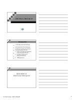 Chương 4: Thuế Quan pptx