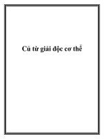 Củ từ giải độc cơ thể pps