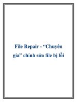 File Repair Chuyên gia chỉnh sửa file bị lỗi ppsx