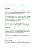 Cac nhan to quan trong giup ban thanh cong trong vai trò Giao vien