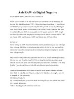 Ảnh RAW và Digital Negative ppt