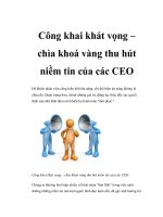 Công khai khát vọng – chìa khoá vàng thu hút niềm tin của các CEO potx