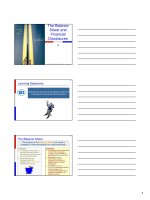 The Balance Sheet and Financial Disclosures pptx