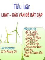 Tiểu luận: Luật -các vấn đề bất cập pptx