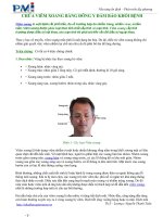 CHỮA VIÊM XOANG BẰNG ĐÔNG Y ĐẢM BẢO KHỎI BỆNH potx