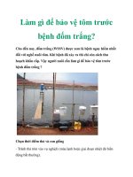 Làm gì để bảo vệ tôm trước bệnh đốm trắng? pps