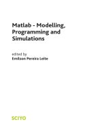 Matlab - Modelling, Programming and Simulations pot