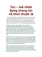 Tóc nơi chứa đựng thông tin về khói thuốc lá pot