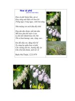 Hoa Cafe (thơ XuânDiệu) _cho ý tìm của thầy Trần Ngọc Sơn– GD So GD & DT Daklak/nguyên: gv PTTH BMT