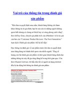 Vai trò của thông tin trong đánh giá sản phẩm pptx