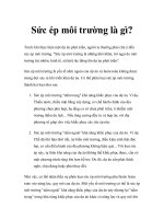 Sức ép môi trường là gì? pot