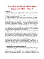 Các công nghệ chuyển đổi năng lượng sinh khối - Phần 1 pot