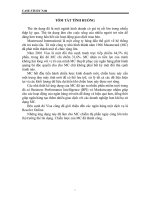 DSS có thể giúp MasterCard chiến thắng trong ngành kinh doanh thẻ tín dụng hay không? pdf