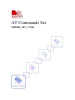 AT Commands Set SIM300