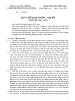 Qui che hoat dong cua chi bo co so