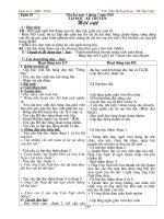 Giao an 3 Tuan 25 - 2buoi- CKTKN