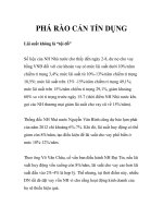 PHÁ RÀO CẢN TÍN DỤNG pdf