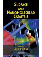 SURFACE AND NANOMOLECULAR CATALYSIS - PART 1 pot