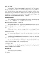 Luận văn: Giải pháp nhằm hoàn thiện và nâng cao chất lượng hoạt động thẩm định giá và dịch vụ tài chính Việt Nam ppsx