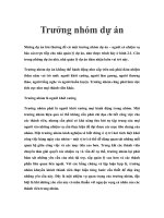 Trưởng nhóm dự án potx