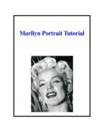 Marilyn Portrait Tutorial pdf