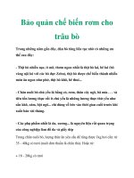 Bảo quản chế biến rơm cho trâu bò doc