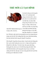 THẾ MỚI LÀ TẠO HÌNH docx