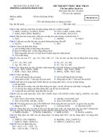 DECHUAN điện li chỉ việc trộn pdf