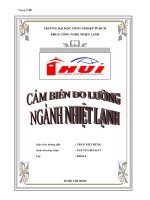 Cảm biến đo lường ngành nhiệt lạnh pptx