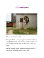 Á-Âu chồng chéo potx