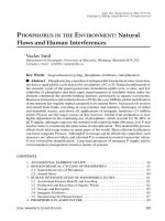 PHOSPHORUS IN THE ENVIRONMENT: Natural Flows and Human Interferences pot