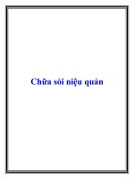 Chữa sỏi niệu quản pptx