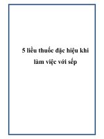 5 liều thuốc đặc hiệu khi làm việc với sếp docx