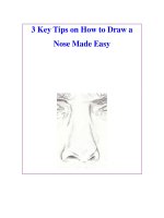 3 Key Tips on How to Draw a Nose Made Easy pdf