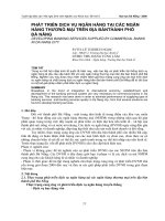 phát triển dịch vụ ngân hàng tại các ngân hàng thương mại trên địa bànthành phố đà nẵng