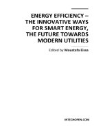 ENERGY EFFICIENCY – THE INNOVATIVE WAYS FOR SMART ENERGY, THE FUTURE TOWARDS MODERN UTILITIES pdf