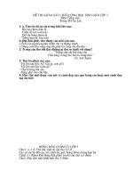 Đề thi chọn HSG tháng 3 môn TV lớp 3